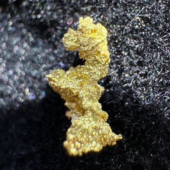 Gold Crystal Nugget Specimen - Grass Valley, California 0.12g - Picture 2 of 5